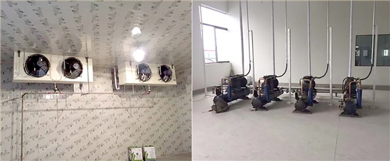 益恒凯泰冷库